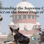 Understanding the Supreme Court’s Verdict on the Street Dogs of India